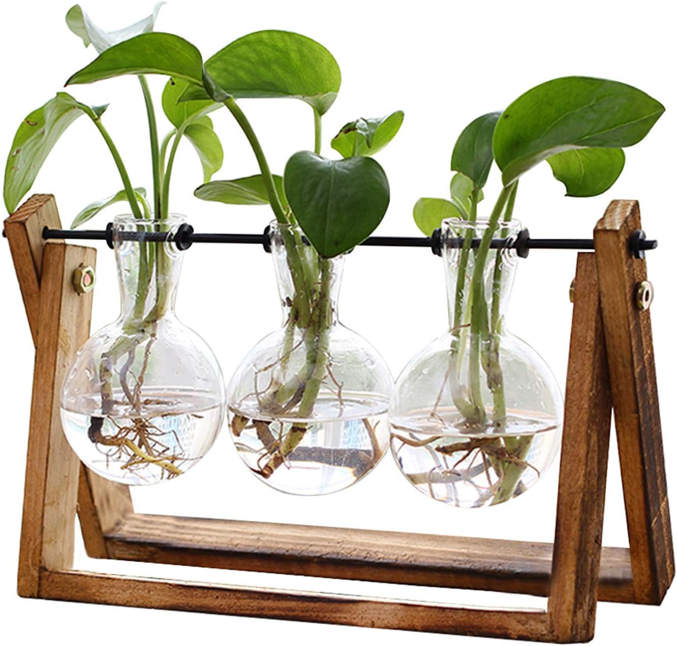 XXXFLOWER Plant Terrarium with Wooden Stand, Air Planter Bulb Glass Vase Metal Swivel Holder — authentic vintage gift collectible
